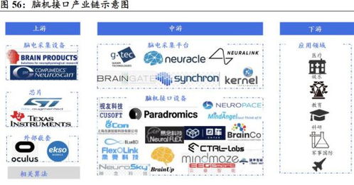 马斯克发文引爆科技圈 脑机接口迎来重大技术突破，软件生态成关键推手